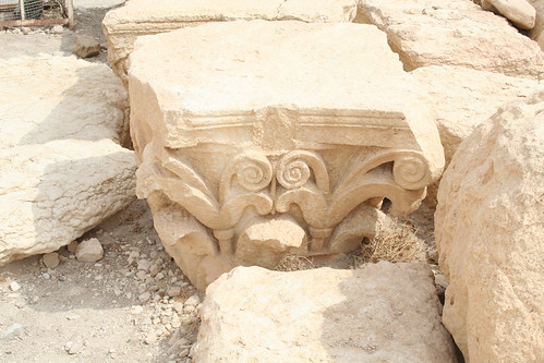 Palmyra - lotus capital at Temple of Ball Shamin