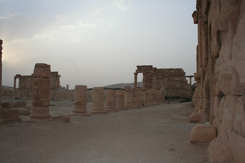 Palmyra - agora