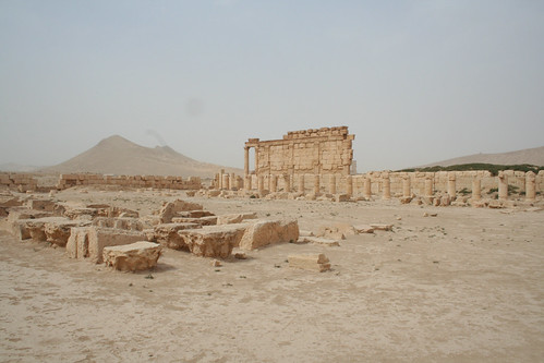 Palmyra - agora
