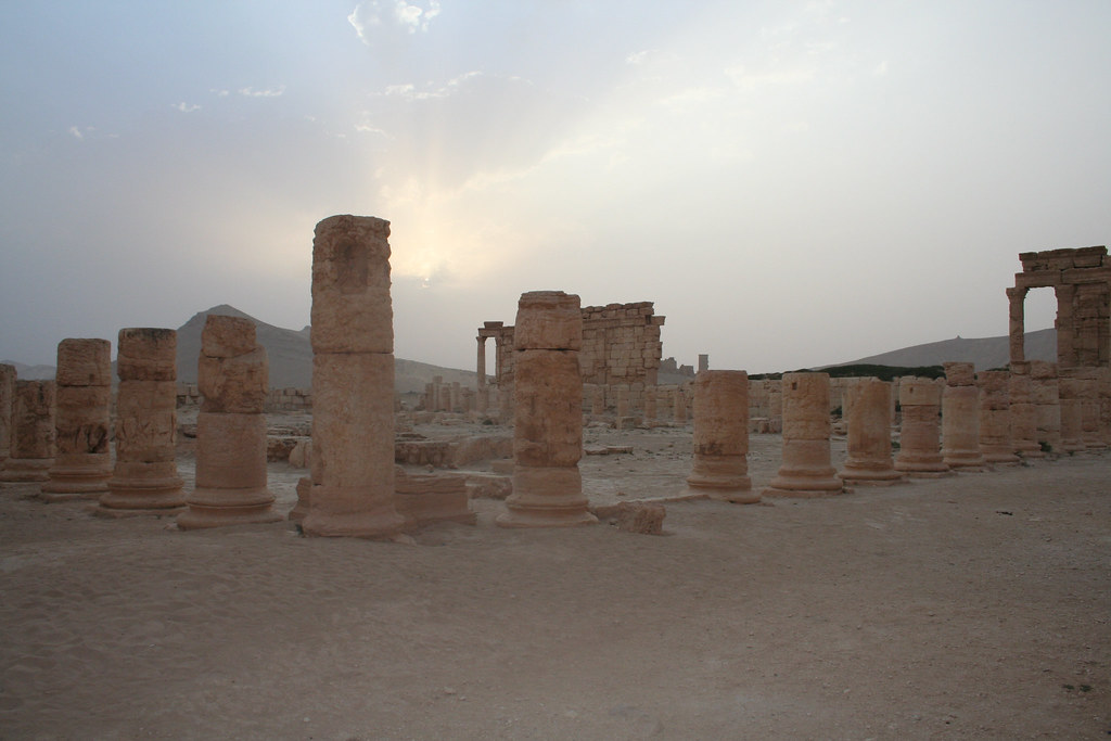 Palmyra - agora