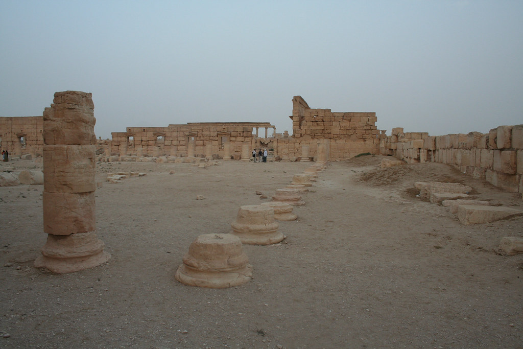 Palmyra - agora columns