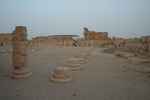 Palmyra - agora columns