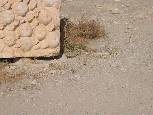 Temple Of Bel