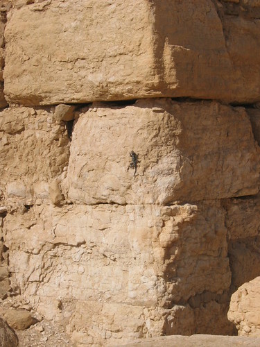 Temple Of Bel