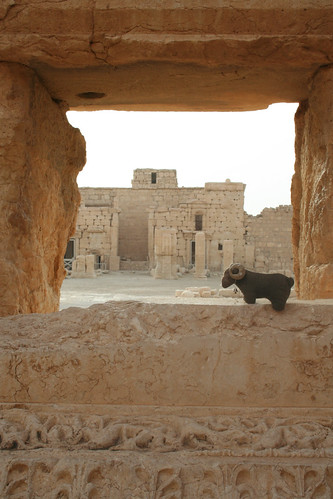 Palmyra - Temple of Bel - Euelpides in cella