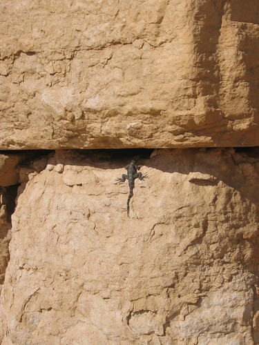 Temple Of Bel
