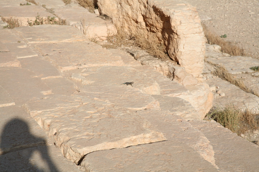 Temple Of Bel