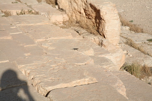 Temple Of Bel