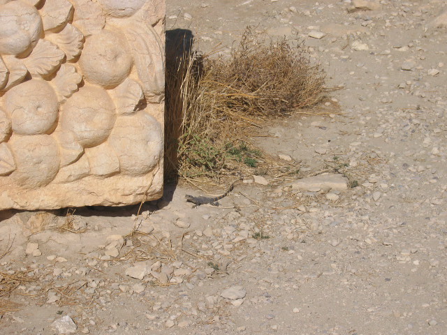 Temple Of Bel