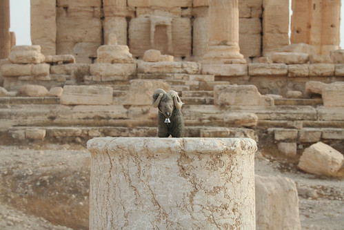 Palmyra - Temple of Bel - Euelpides on a column to N. of cella