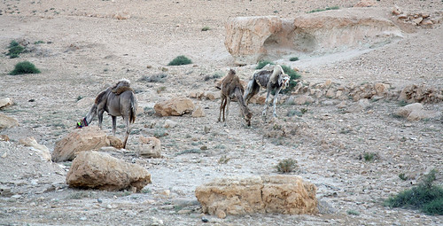 Valley of Tombs