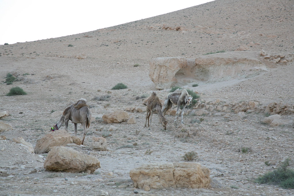 Valley of Tombs