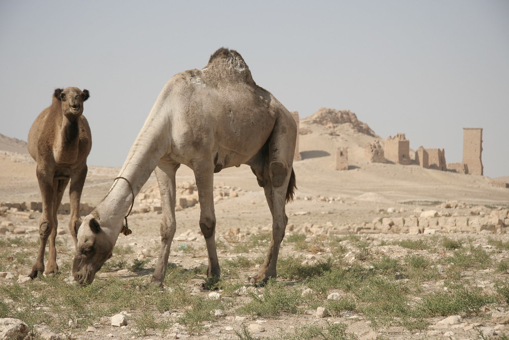 Valley of Tombs